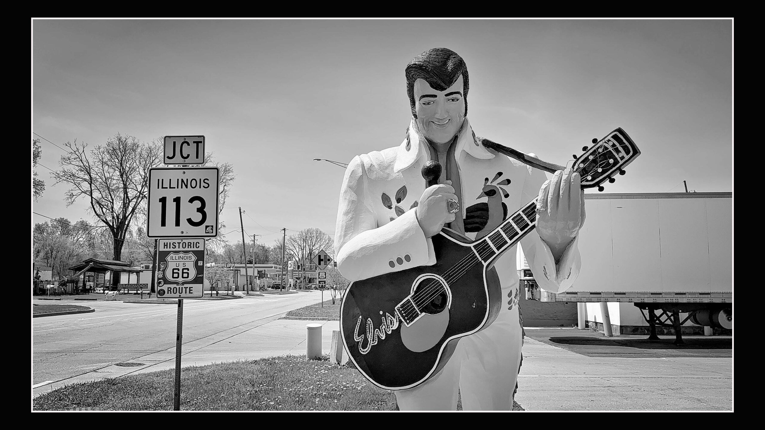 elvis-scaled.jpg