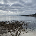 Pacific Grove Photowalk